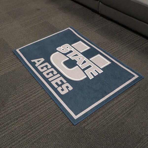 u-state rug 30x46"